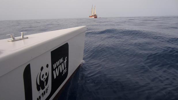 Rutas de Tierra y Mar - Senderismo, observación de cetáceos, turismo activo en la Bahía de Mazarrón (Murcia)