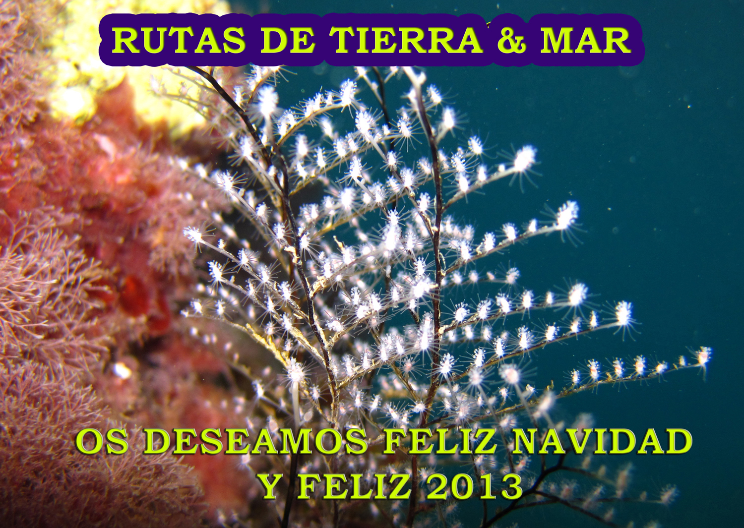 TIERRAY MAR FELIZ NAVIDAD