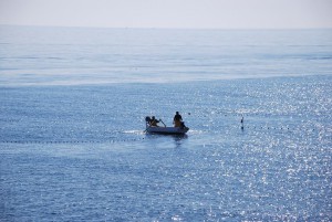 pesca moruna